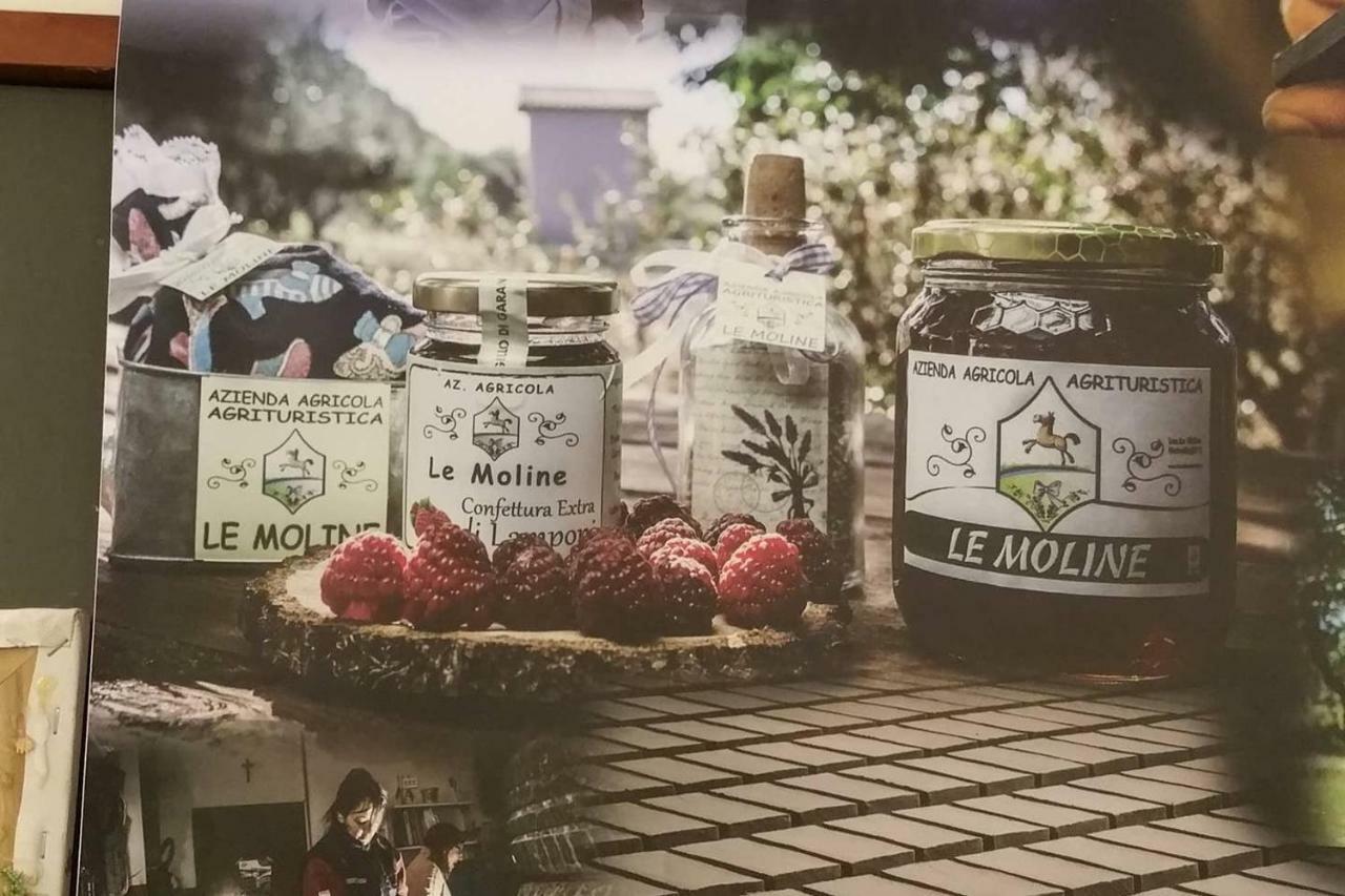 Piccolo Casale A "Le Moline" In Una Vera Fattoria فيترالّا المظهر الخارجي الصورة