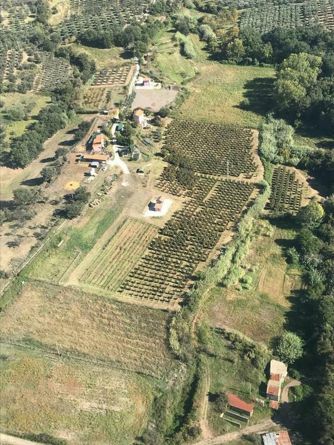 Piccolo Casale A "Le Moline" In Una Vera Fattoria فيترالّا المظهر الخارجي الصورة
