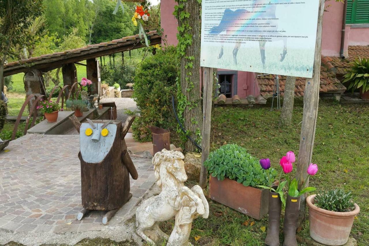 Piccolo Casale A "Le Moline" In Una Vera Fattoria فيترالّا المظهر الخارجي الصورة