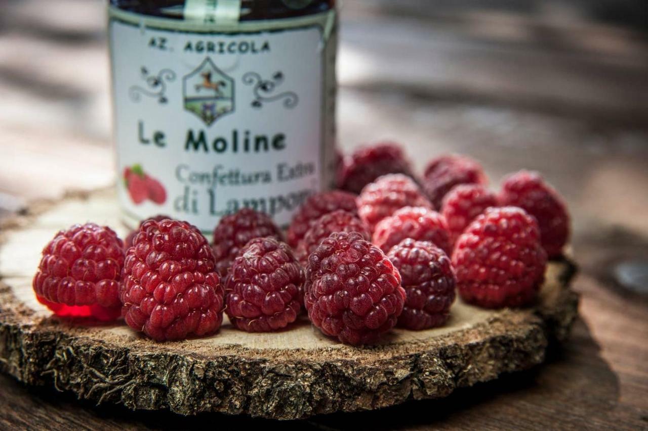 Piccolo Casale A "Le Moline" In Una Vera Fattoria فيترالّا المظهر الخارجي الصورة