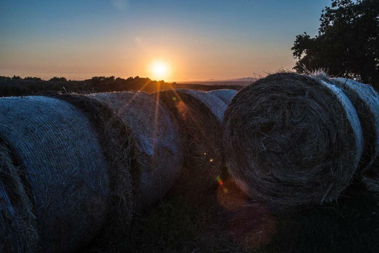 Piccolo Casale A "Le Moline" In Una Vera Fattoria فيترالّا المظهر الخارجي الصورة